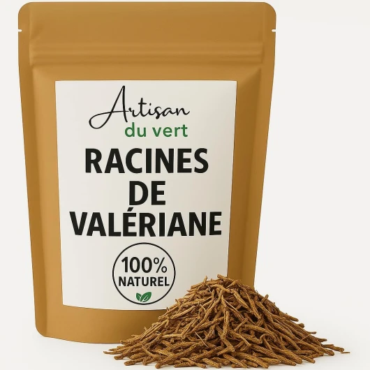 Racine de Valeriane - Artisan du Vert (1 sachet 100g) naturelle, 100% végétale 1 unité (Lot de 1)
