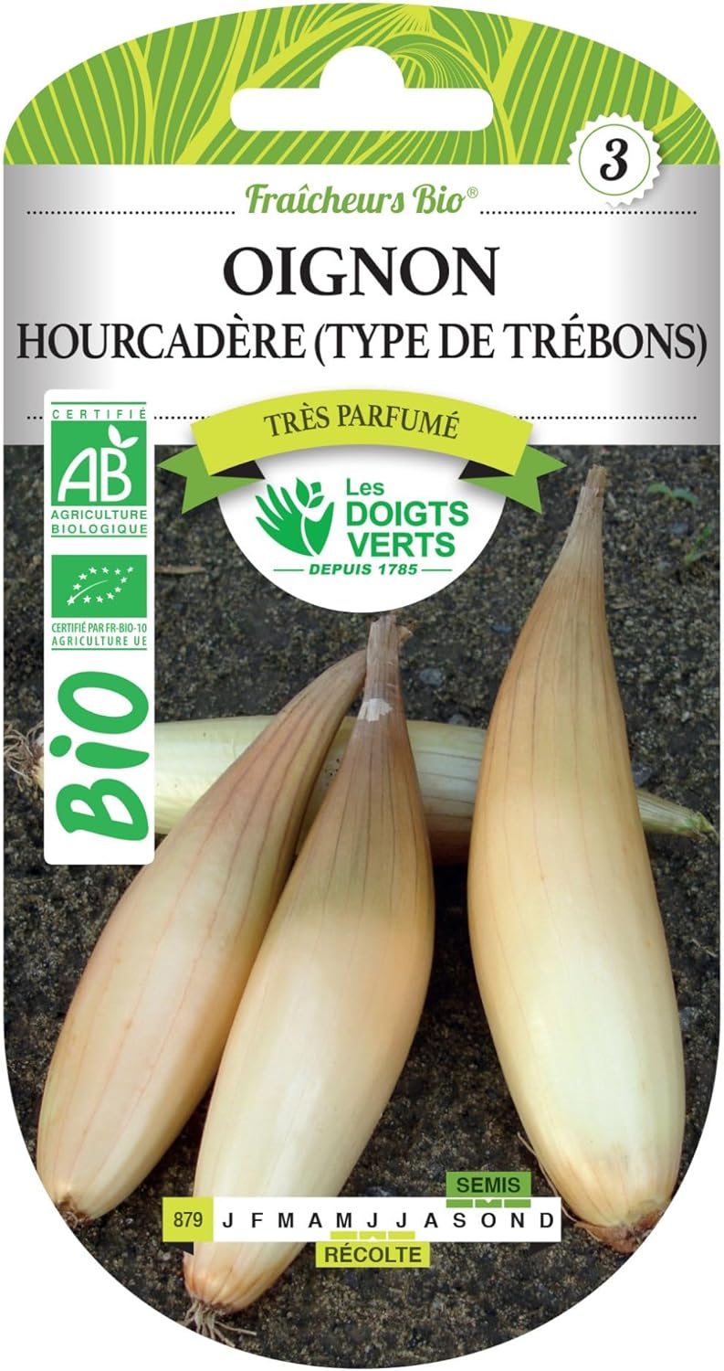 Graines oignon Hourcadère type de Trébons BIO Les Doigts Verts