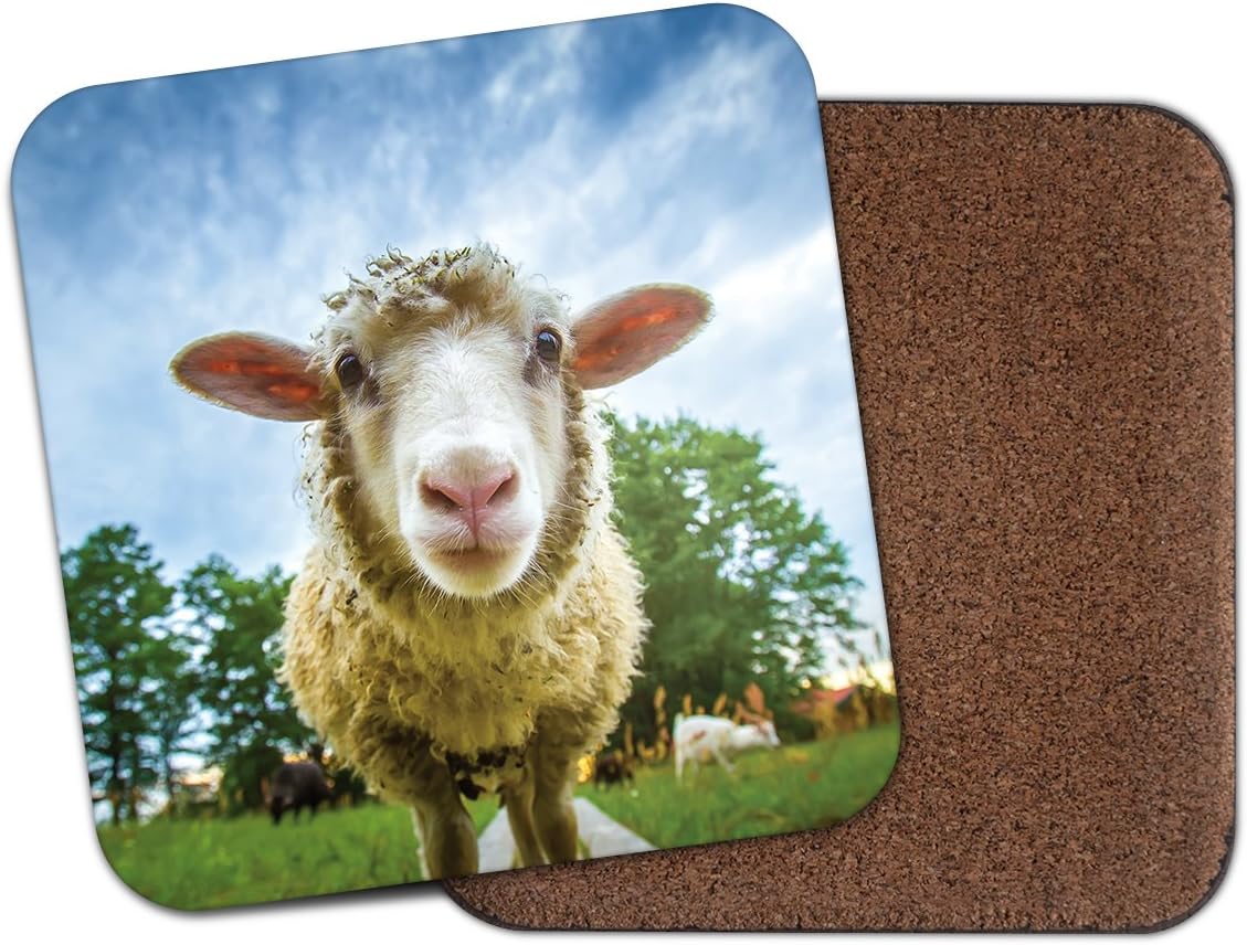 Funny Mouton en liège Dessous-de-verre – Agneau Ferme Fermier bétail # 8389