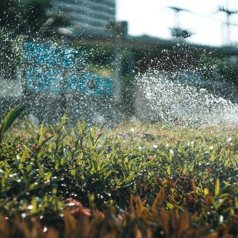 Comment fonctionne l’irrigation goutte-à-goutte ?