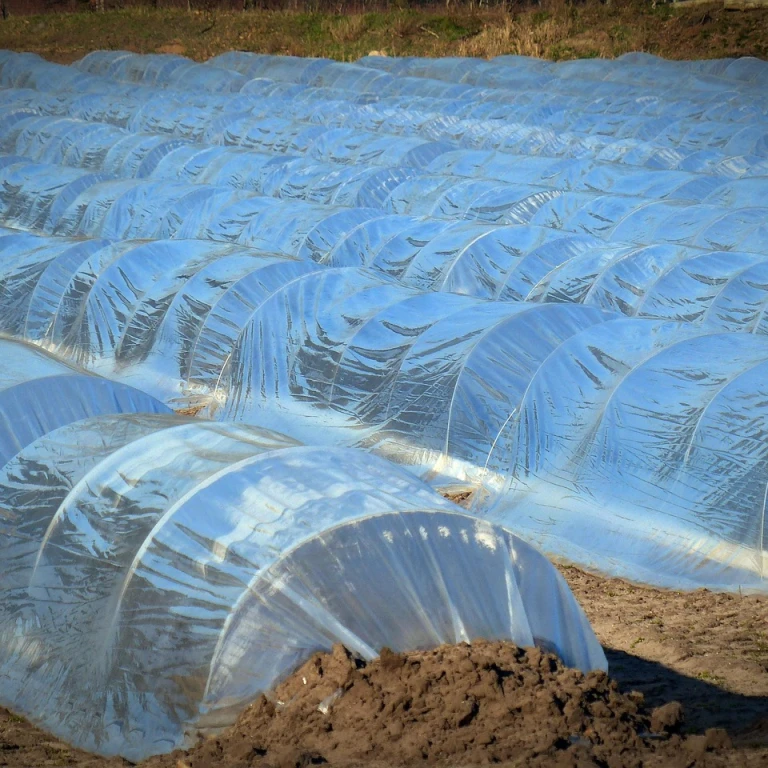 Comment choisir une bâche agricole sur mesure adaptée ?