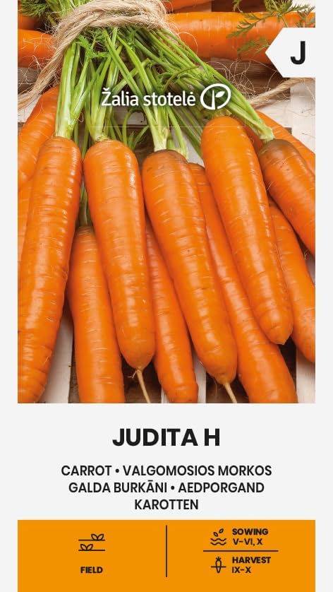 Zalia stotele - Carottes JUDITA H des Graines - Graines de Légumes - Graines de Plantes - Graines de Jardin -Un hybride mi-tardif, à haut rendement et résistant à l'alternariose - 1 Paquet