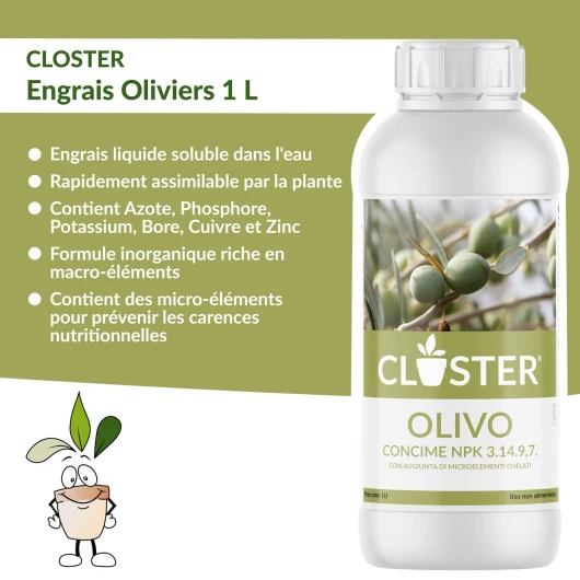 71ZIOpLRMRL._SL1500_