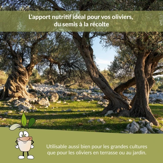 9130j69ZioL._SL1500_