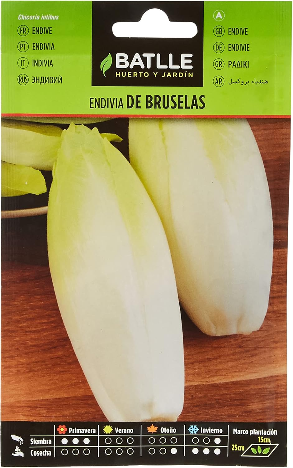 Semences horticoles de Batlle - Endive de Bruxelles (10g), Noir