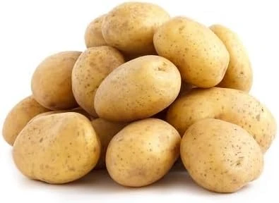 Graines de légumes de pomme de terre 100 pièces marron