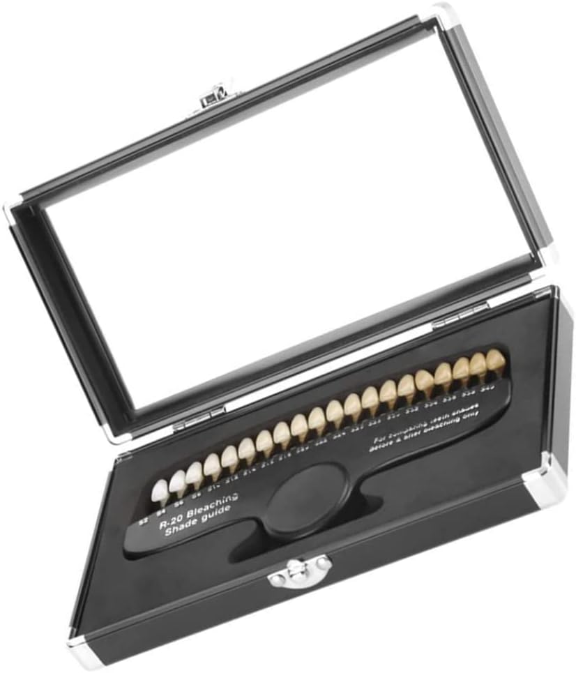 Guide de teinte dentaire Guide de teinte dentaire de 20 couleurs avec miroir Toothing Shade Dentiste Tools for Dentist Tracking
