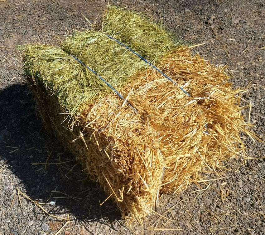 Bi Ballot Paille et Foin Qualité Extra 10 à 12 Kg Exclusif