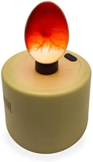 Titan Incubators Mire oeuf - Haute intensité