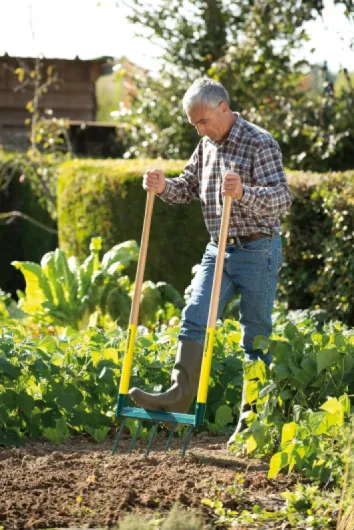 91WT5apXrML._AC_SL1500_