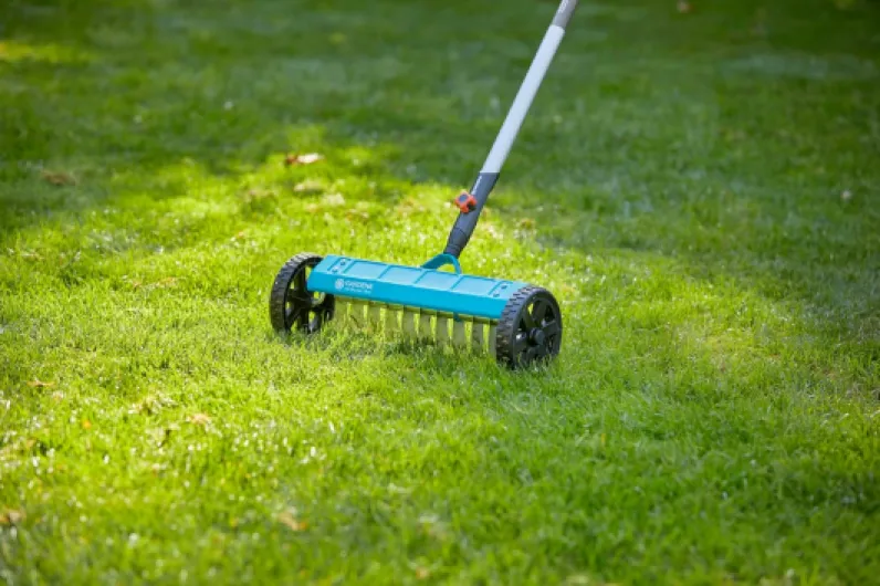 81I-La1Uw5L._AC_SL1500_