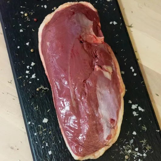 81vb8bZJ LL._AC_SL1500_