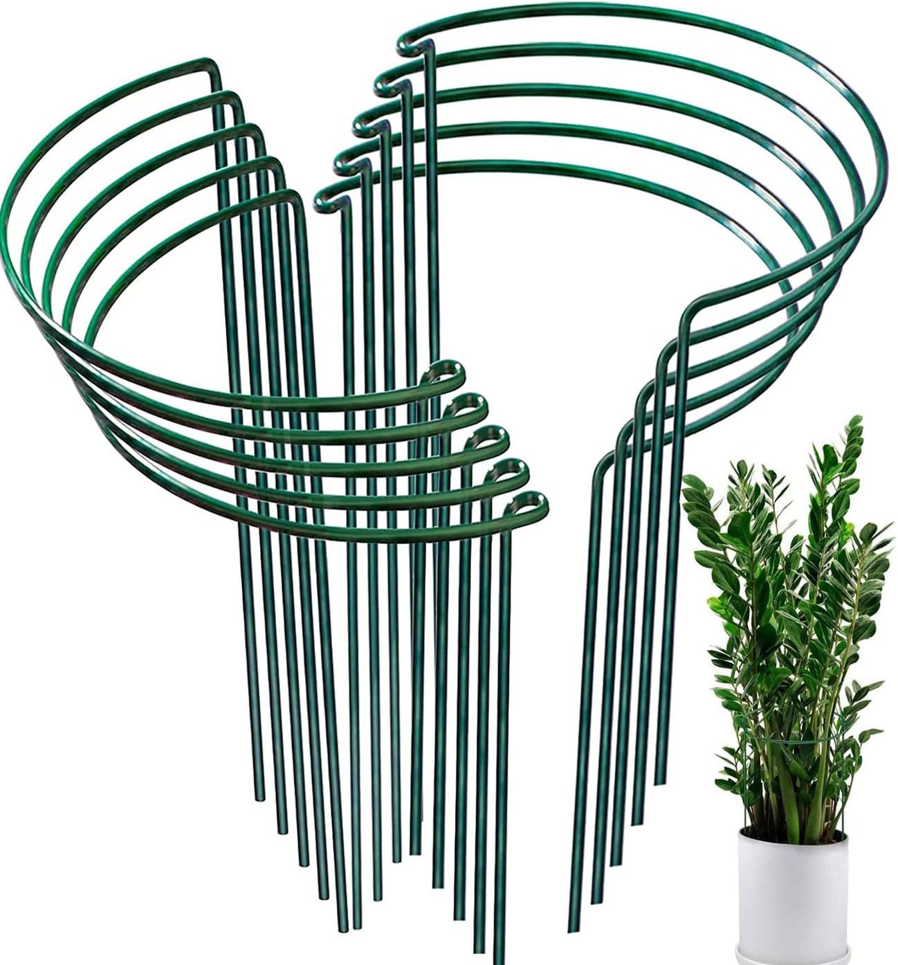 Lot de 10 Piquets de Soutien pour Plantes de Jardin, Support de Plantes de Jardin Demi-Rond pour Tomate, Pivoines, Hortensia, Vigne, Plantes Grimpantes Fleur Intérieur Extérieur (25x40cm)