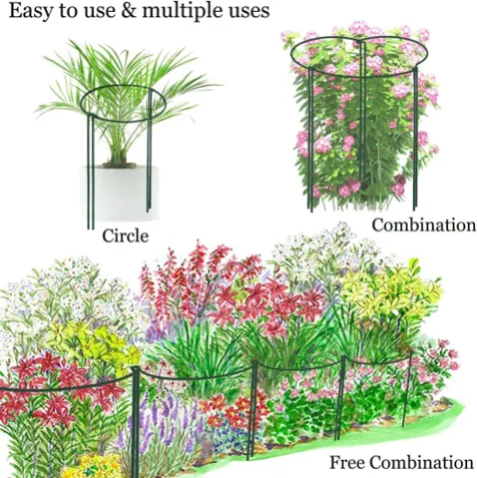 81EgEVa4QVL._AC_SL1500_