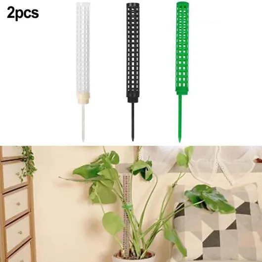 51t1MUO8oRL._AC_SL1001_