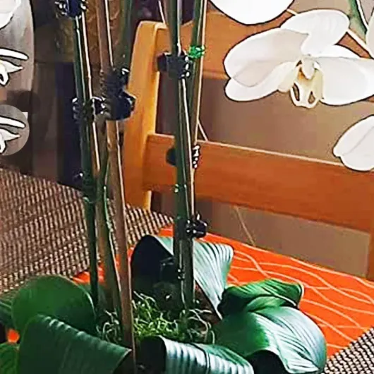 Lot de 20 piquets de support robustes pour plantes grimpantes et vignes pour un soutien fiable de vos plantes grimpantes et vignes (45,7 cm) 18in