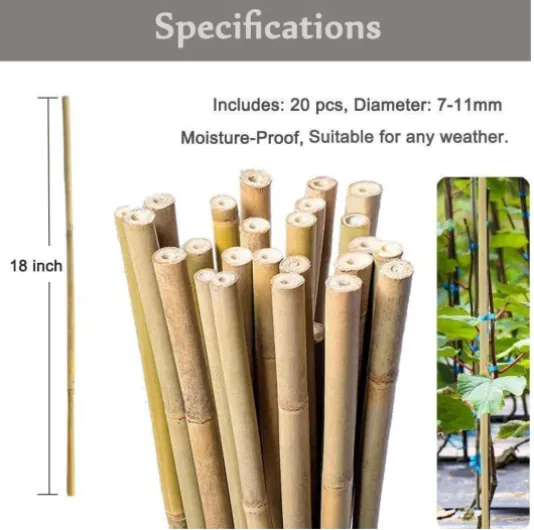 61tsU48uX L._AC_SL1001_