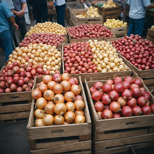 Comprendre le prix des oignons au kilo : facteurs et tendances du marché agricole