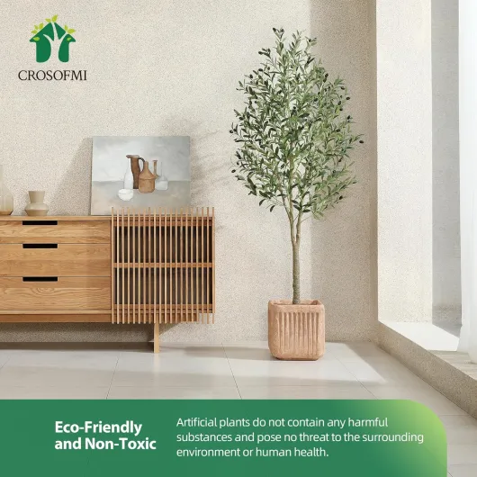 81IMT6g u2L._AC_SL1500_