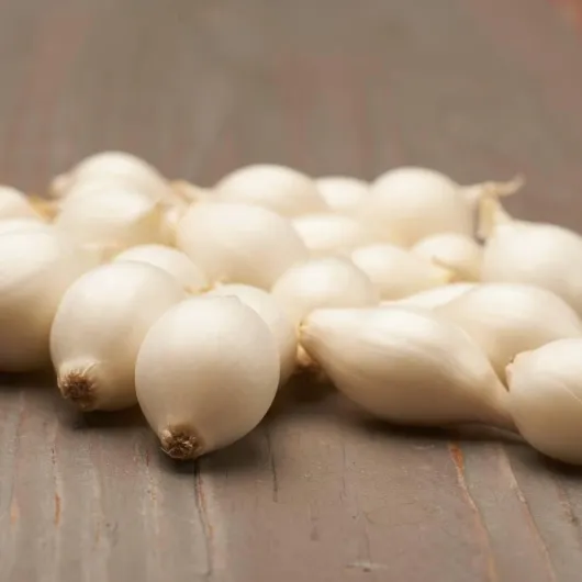 Oignons d'hiver Snowball (500 g), Oignon de légume doux et piquant, Bulbes à planter de haute qualité des Pays-Bas (pas de graines), Taille des bulbes à planter : 4-2 mm.