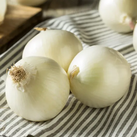 713WwZMjAlL._AC_SL1500_