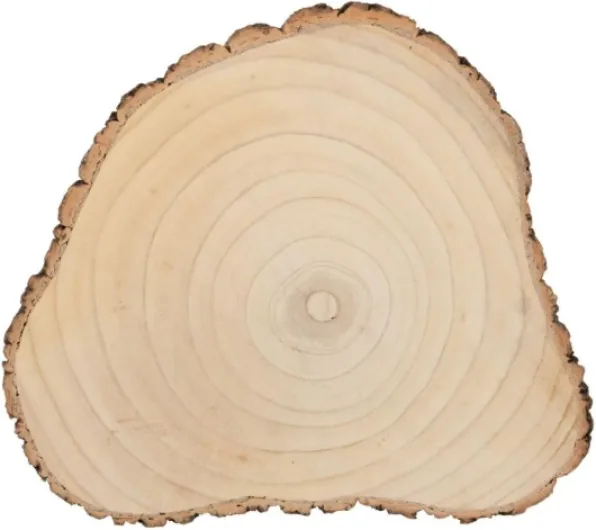 J-Line Rondin de bois 40 cm, rondelle de bois, rond en bois décorative comme plateau de service, décoration de table ou pour bricoler, rondin en bois de paulownia durable, 40 x 34.5 cm 40 x 34,5 x 3 cm