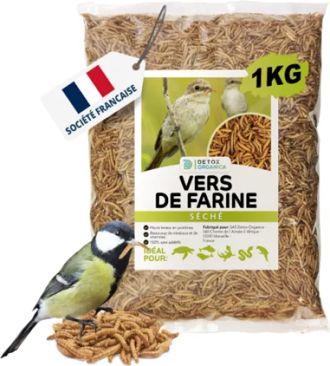 Vers de Farine Séchés - 1kg Correspond à 6500ml, Friandises pour Oiseaux, Poissons, Tortues, Hérissons, Rongeurs et Reptiles 1 kg (Lot de 1)