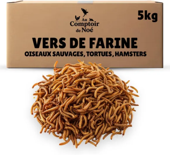 Vers de Farine Séchés 5kg Au Comptoir de Noé, 100% Naturel, Riches en Protéines et Bonnes Graisses, vers Farine, Almentation pour Poissons, Oiseaux Sauvages, Tortues, Hérissons, Rongeurs et Reptiles