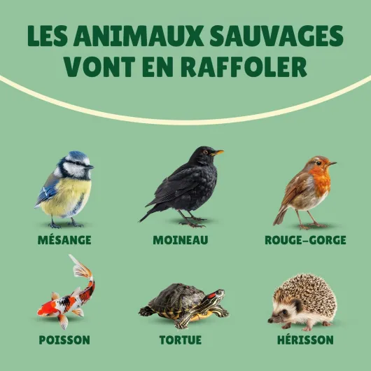 61-8T25cmqL._AC_SL1500_