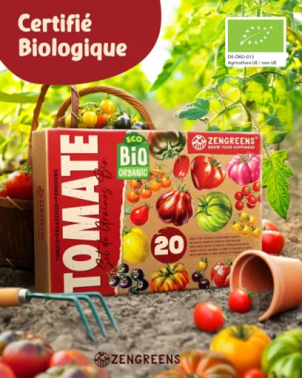 816YeC3ZoYL._AC_SL1500_