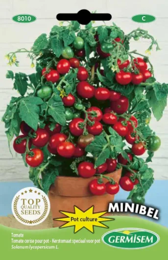 Germisem graines Tomate cerise pour pot MINIBEL Unique