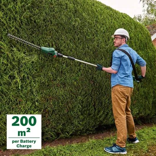 816MMWV1OAL._AC_SL1500_