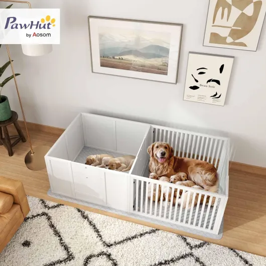 71fQu1djtgL._AC_SL1500_