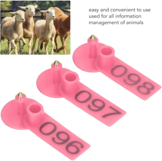 71PBuU3njAL._AC_SL1500_