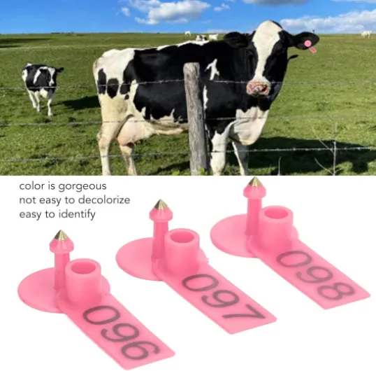 715Zr0N94HL._AC_SL1500_