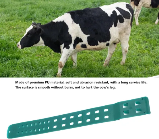 8159OsPORWL._AC_SL1500_