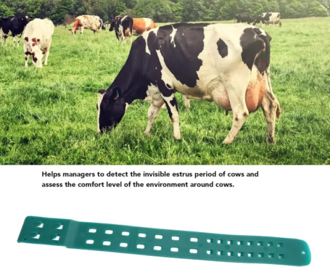 81uK0wF3QmL._AC_SL1500_