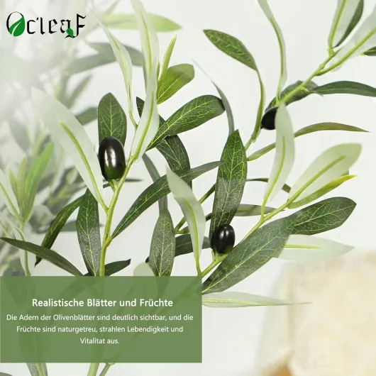 71QvR6h9Z9L._AC_SL1500_