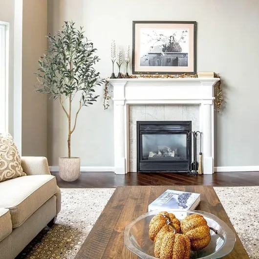 71RJE47e3IL._AC_SL1080_