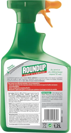 81-AEewd8GL._AC_SL1500_