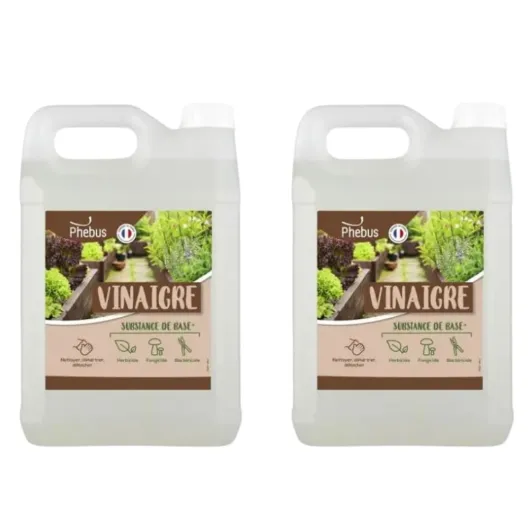 DSTOCK60-2 BIDONS 5 L DESHERBANT NATUREL AU VINAIGRE BLANC (PHEBUS PRODUIT D’ORIGINE GARANTIE) HERBICIDE, FONGICIDE, BACTERICIDE - DESHERBANT JARDIN