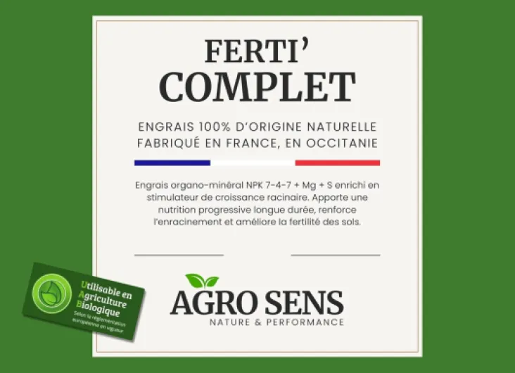 61Cl6mQjq1L._SL1500_