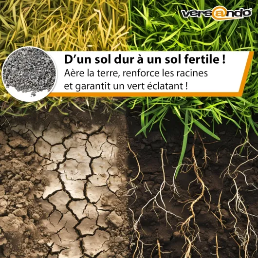 81OHM8xtIUL._SL1500_