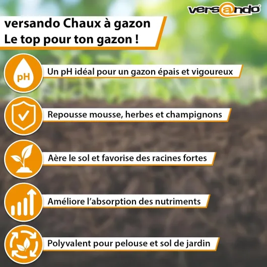 71HDnL6sv0L._SL1500_