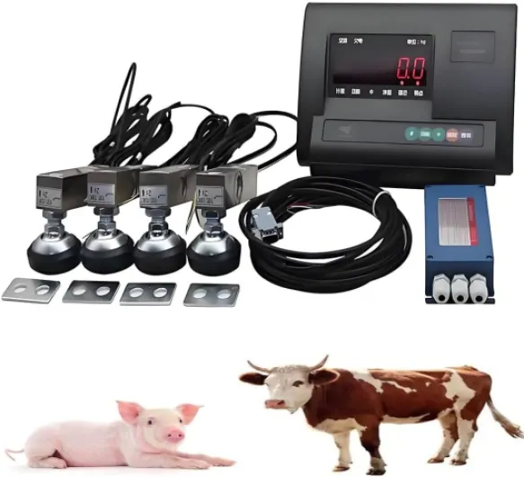 Balance électronique de Haute précision pour bétail avec 4 cellules de Charge, écran LED et boîte de jonction pour Pesage Complet des bovins, porcins et caprins.