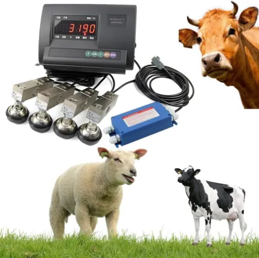 Kit de Balance pour bétail, 5 000 LB, étanche, avec Cellule de Charge à Compression et Poutre en Acier, Balance au Sol, indicateur de pesée, pour Animaux (Vache, Cochon, chèvre)