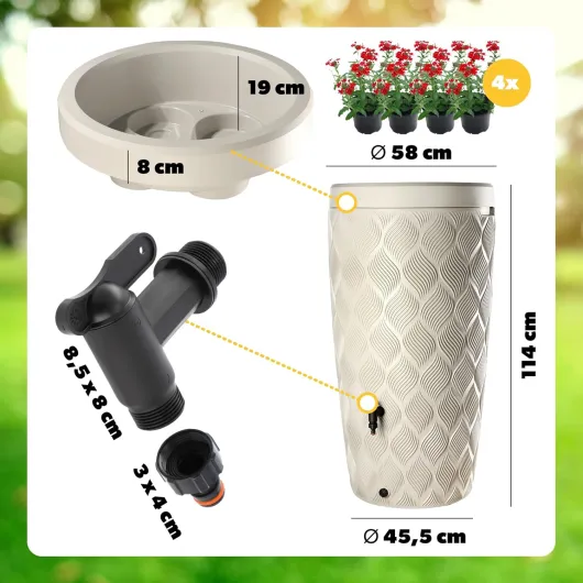 81xXPTMqPML._AC_SL1500_