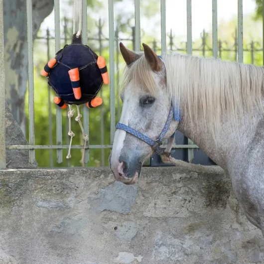 710kaUqM6tL._SL1500_