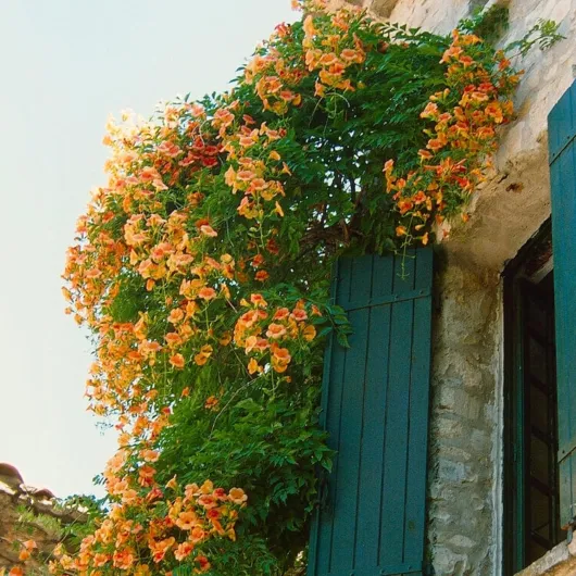 812KKxG RGL._AC_SL1500_