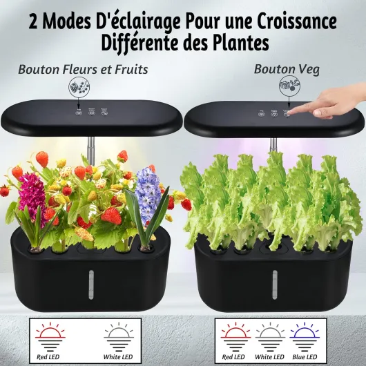 812rn6etK3L._AC_SL1500_